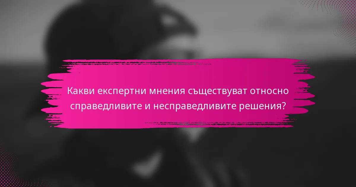 Какви експертни мнения съществуват относно справедливите и несправедливите решения?
